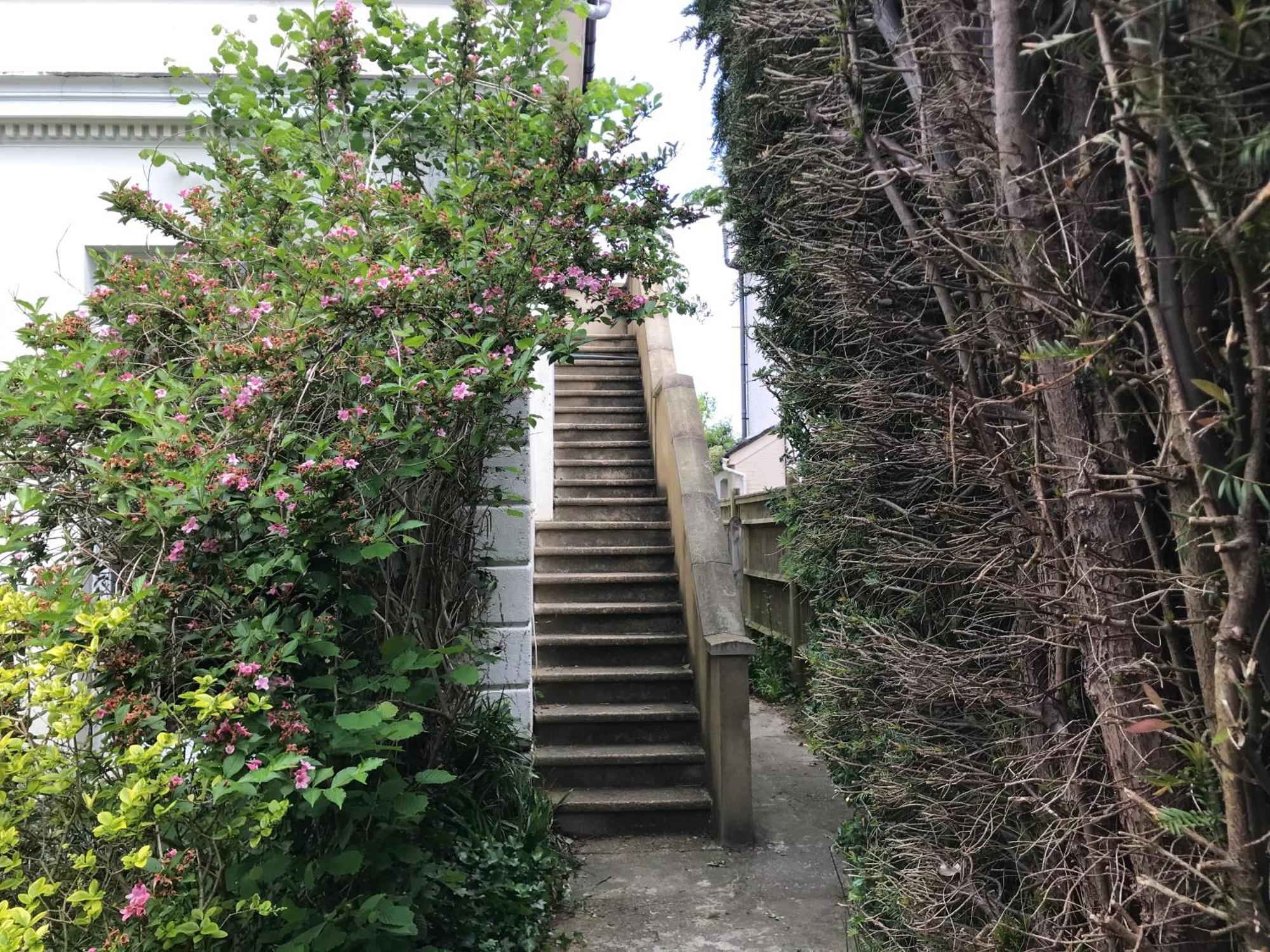 Tree Tops Apartment In Tunbridge Wells 外观 照片